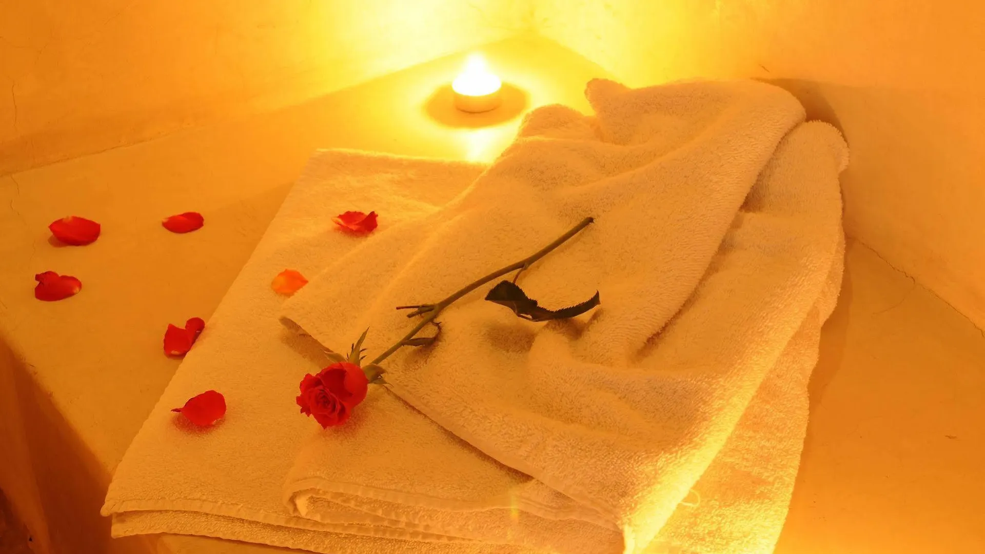 Riad Les Hibiscus Marrakesh Guest house